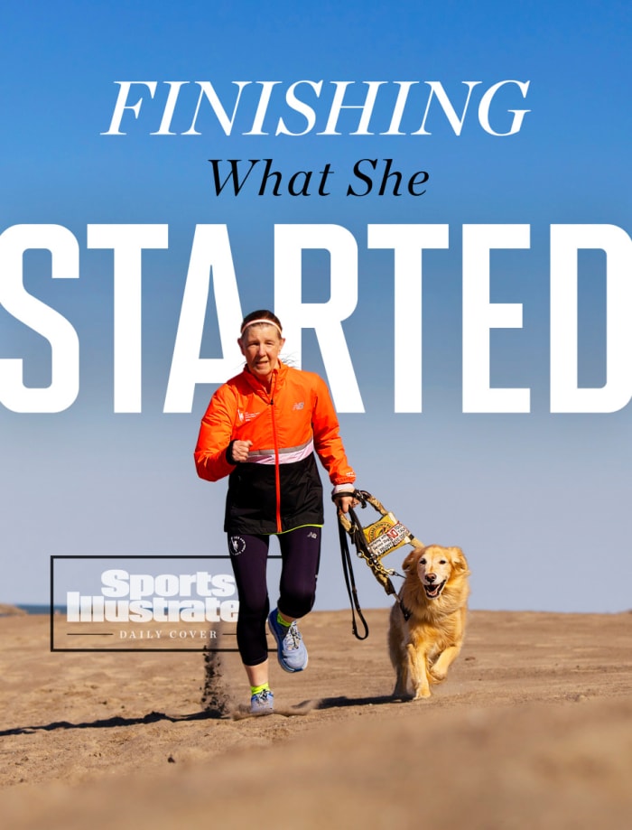 dCOVpasslehelminski_V